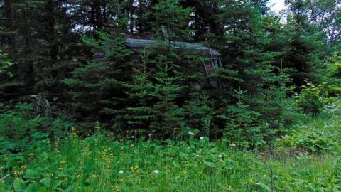 Kakabeka Abandoned Cabin - Kakabeka-Abandoned-Cabin6.jpg
