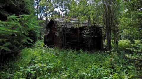 Kakabeka Abandoned Cabin - Kakabeka-Abandoned-Cabin2.jpg