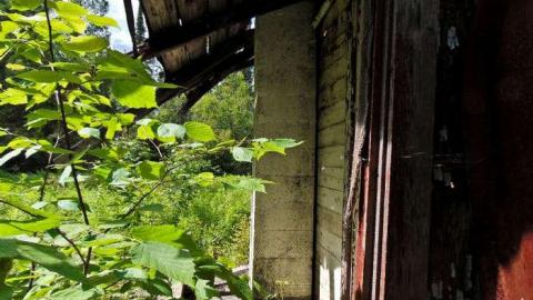 Kakabeka Abandoned Cabin - Kakabeka-Abandoned-Cabin7.jpg