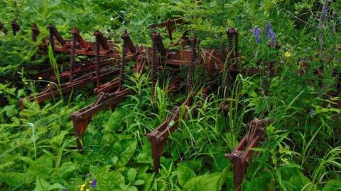 Kakabeka Abandoned Cabin - Kakabeka-Abandoned-Cabin10.jpg