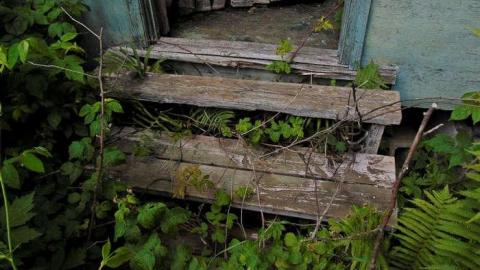 Nolalu Screenshack photo 4