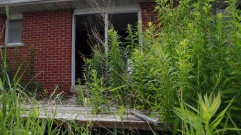 Hwy 10 - Open house! - IMGP3872.jpg