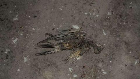 Old Dealership - Old-Dealership20.jpg