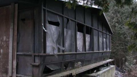 Sideline 28 Ranch w. Indoor Pool - Pickering, Ontario