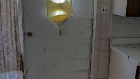 Industrialis Generica photo 2