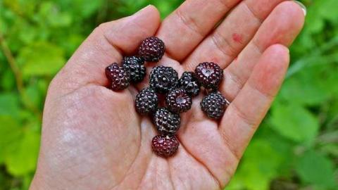 Second Stop - Mother-Marys-Messy-Mansion83.jpg