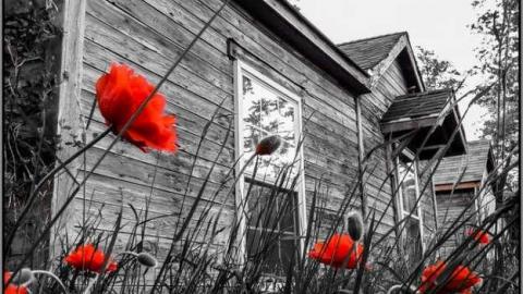 Spring 2013 - Forgotten-Cabins-on-the-Edge10.jpg