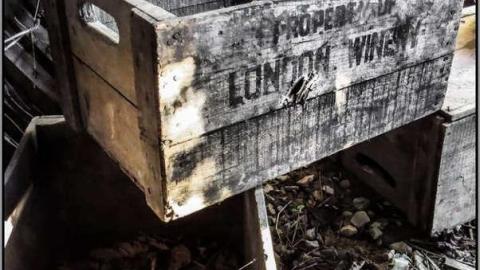 Forgotten Cabins on the Edge photo 2