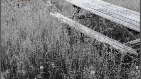 Spring 2013 - Forgotten-Cabins-on-the-Edge14.jpg