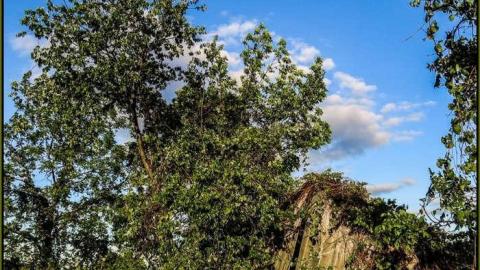 Forgotten Cabins on the Edge photo 5