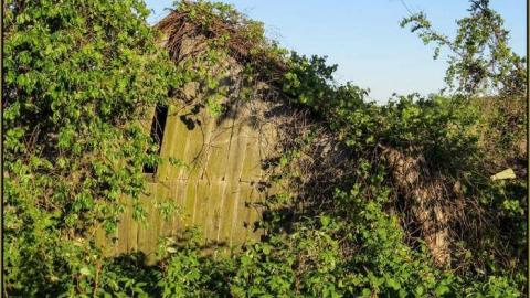 Spring 2013 - Forgotten-Cabins-on-the-Edge6.jpg