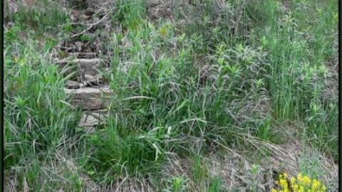 Spring 2013 - Forgotten-Cabins-on-the-Edge13.jpg