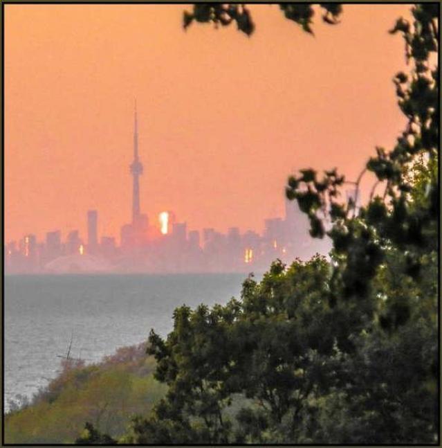 Forgotten Cabins on the Edge - Lincoln, Ontario