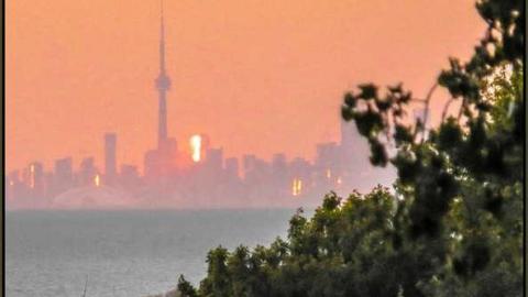 Forgotten Cabins on the Edge - Lincoln, Ontario