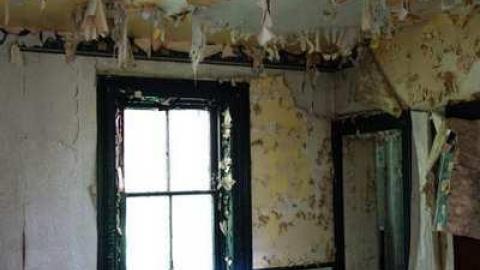 Photo from July 2014