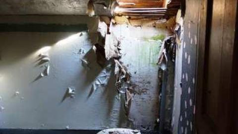 July 2014 - DSC05574.jpg