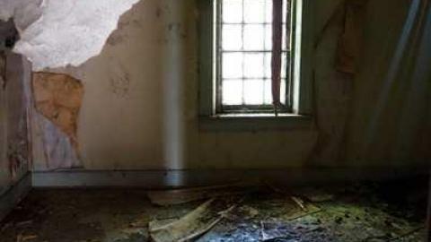 Photo from July 2014