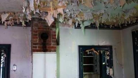 July 2014 - DSC05602.jpg