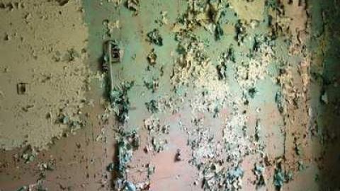 July 2014 - DSC05610.jpg