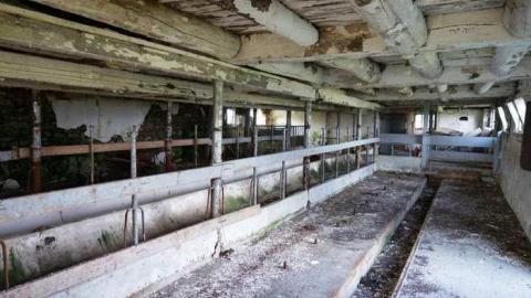 July 2014 - DSC05638.jpg