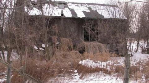 J. White Farm - J.-White-Farm1.jpg