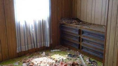 No Piano For Me... - DSC05691.jpg