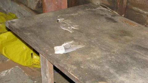 J. White Farm - J.-White-Farm6.jpg