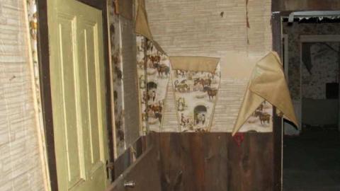 J. White Farm - J.-White-Farm7.jpg