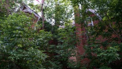 Board of Exercise - Woodbine-Farmhouse55.jpg