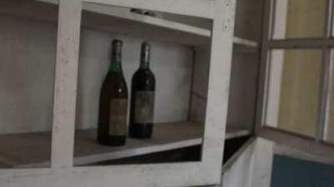 Lost in the Woods - Bird-House-Lane8.jpg