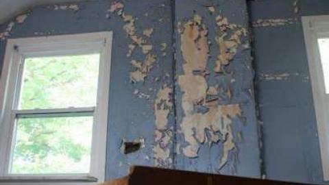 Lost in the Woods - Bird-House-Lane10.jpg