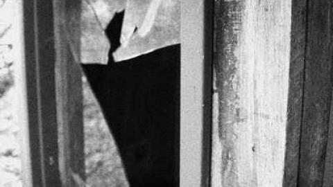 Lost in the Woods - Bird-House-Lane3.jpg