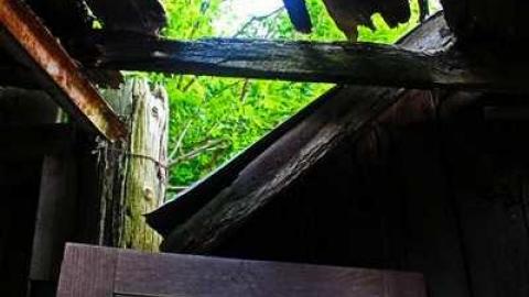 Lost in the Woods - Bird-House-Lane4.jpg