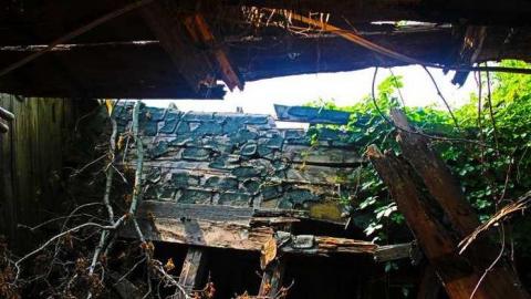 Photo from Lost in the Woods