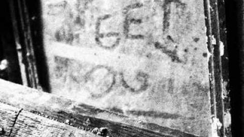 Lost in the Woods - Bird-House-Lane18.jpg