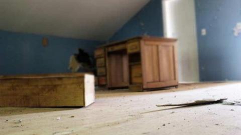 Lost in the Woods - Bird-House-Lane19.jpg