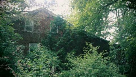 Lost in the Woods - Bird-House-Lane20.jpg