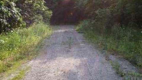 Photo from Littles Road/Passmore Avenue