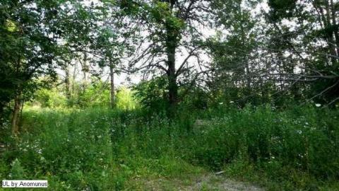 Littles Road/Passmore Avenue - 1405375165392.jpg