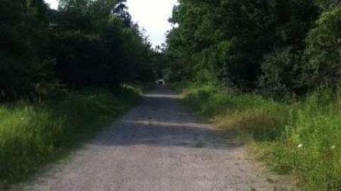 Littles Road/Passmore Avenue - IMG_1411.jpg