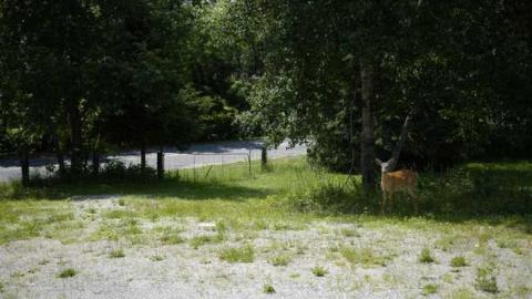 Photo from July 2014