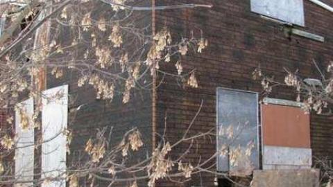 Dec 24 2010 - Elgin-Mills-Rd.-Farmhouse6.jpg