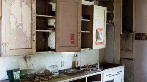 July 2014 - DSC05791.jpg