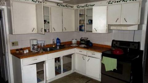 July 2014 - Annette-Groves-For-Mayor73.jpg