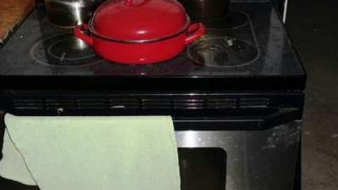 July 2014 - Annette-Groves-For-Mayor76.jpg