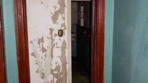 July 2014 - Annette-Groves-For-Mayor80.jpg