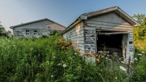 Flakey - Farmageddon3.jpg