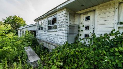 Flakey - Farmageddon5.jpg