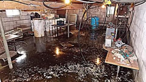 Oasis Restaurant - Oasis-Restaurant7.jpg