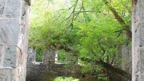 German Woolen Mill  - German-Woolen-Mill4.jpg